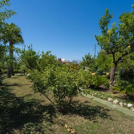 Antica Dimora D'ancora Casa de hóspedes