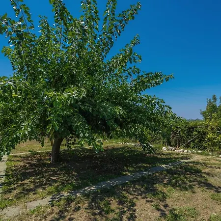 Antica Dimora D'ancora Gasthof Vico Equense