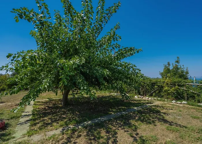 Antica Dimora D'ancora Affittacamere Vico Equense